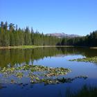 S.W.E.A.T: Stanford Wilderness Experience Activity Orientation Trip